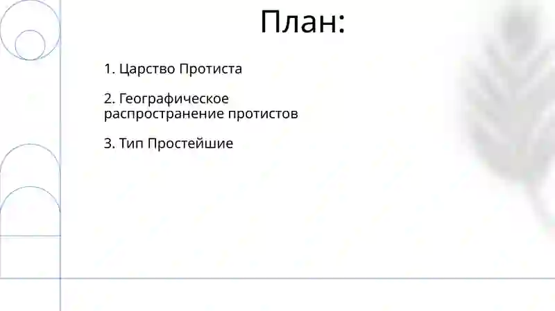 Тип Простейшие 2