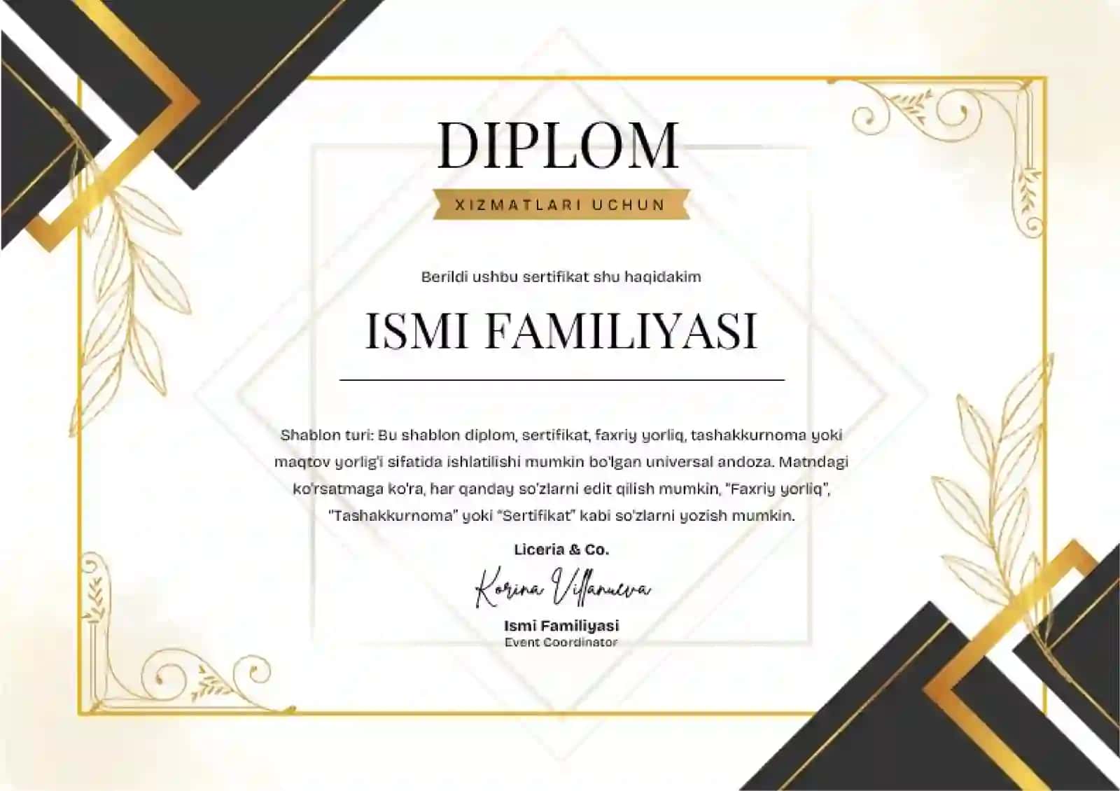 DIPLOM 2