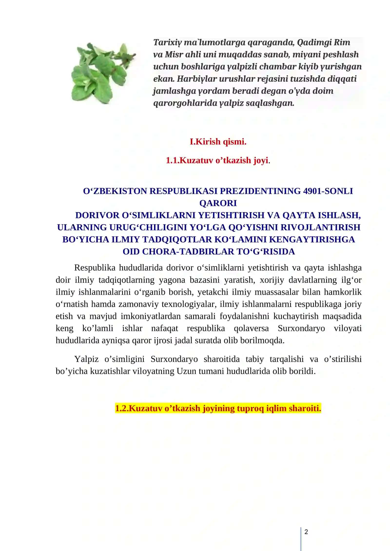 Qalampir yalpiz (Mentha piperita) 2