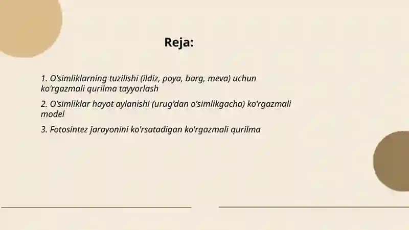 O'simliklarning tuzilishi uchun ko'rgazmali qurilma maqsad o'quvchilarga ildiz poya barg meva funksiyalarini ko'rsatish 2