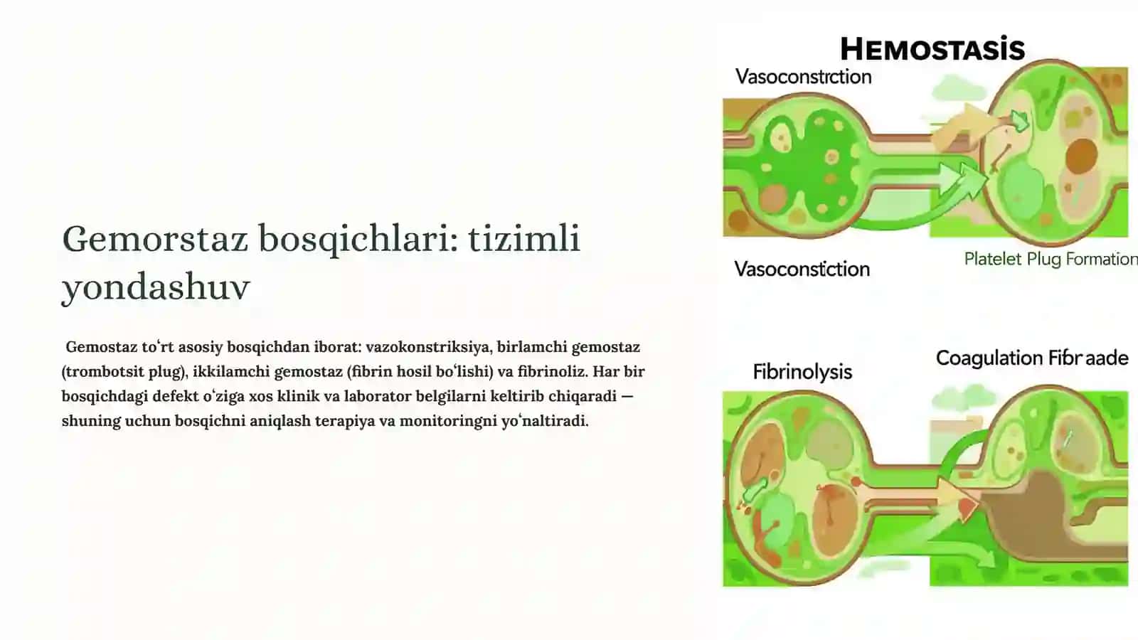 Gemorrajik diatez 2