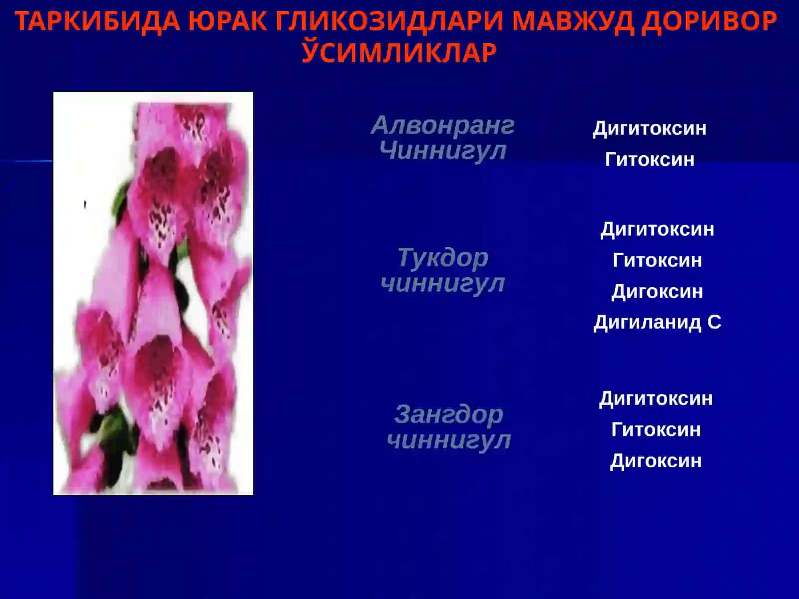 ТАРКИБИДА ЮРАК ГЛИКОЗИДЛАРИ МАВЖУДДОРИВОР 2