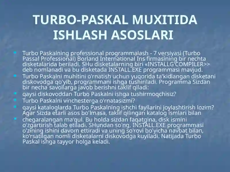 Turbo Paskal Professional 2