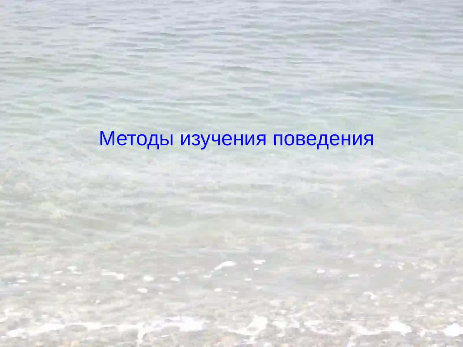 Физиология высшей нервной деятельности 2
