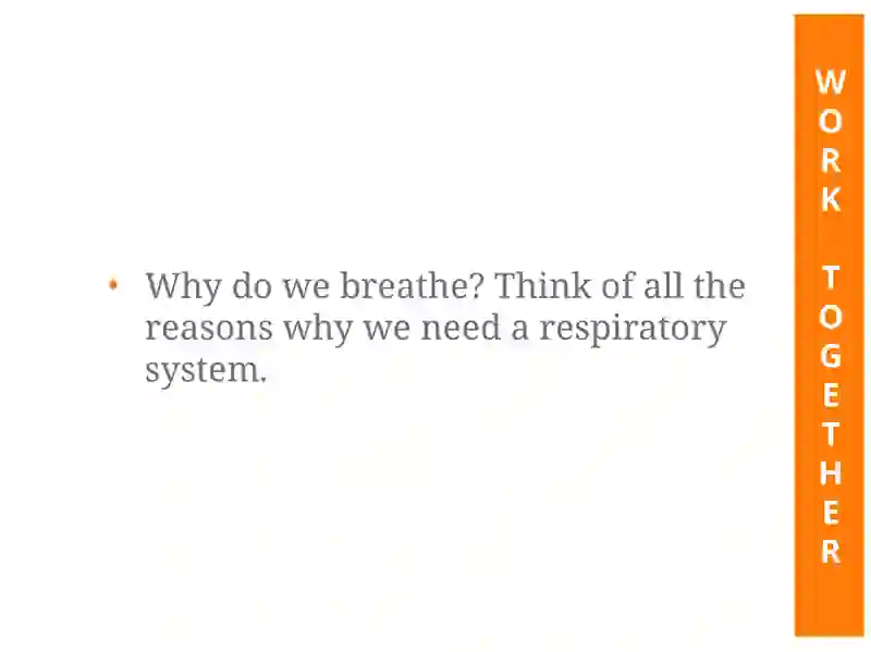 Respiratory System 2