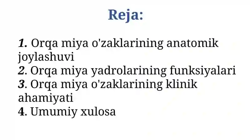Orqa miya o'zaklari 2