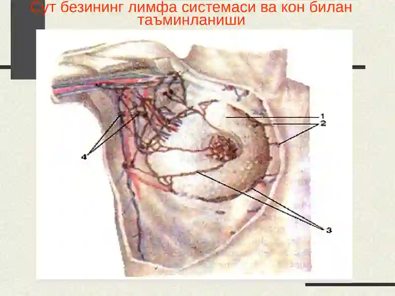 Сутбези 2