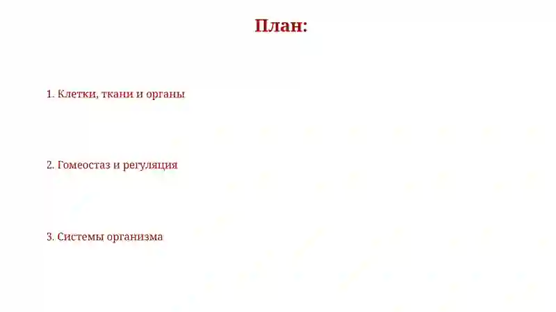 Анатомия физиология человека 2