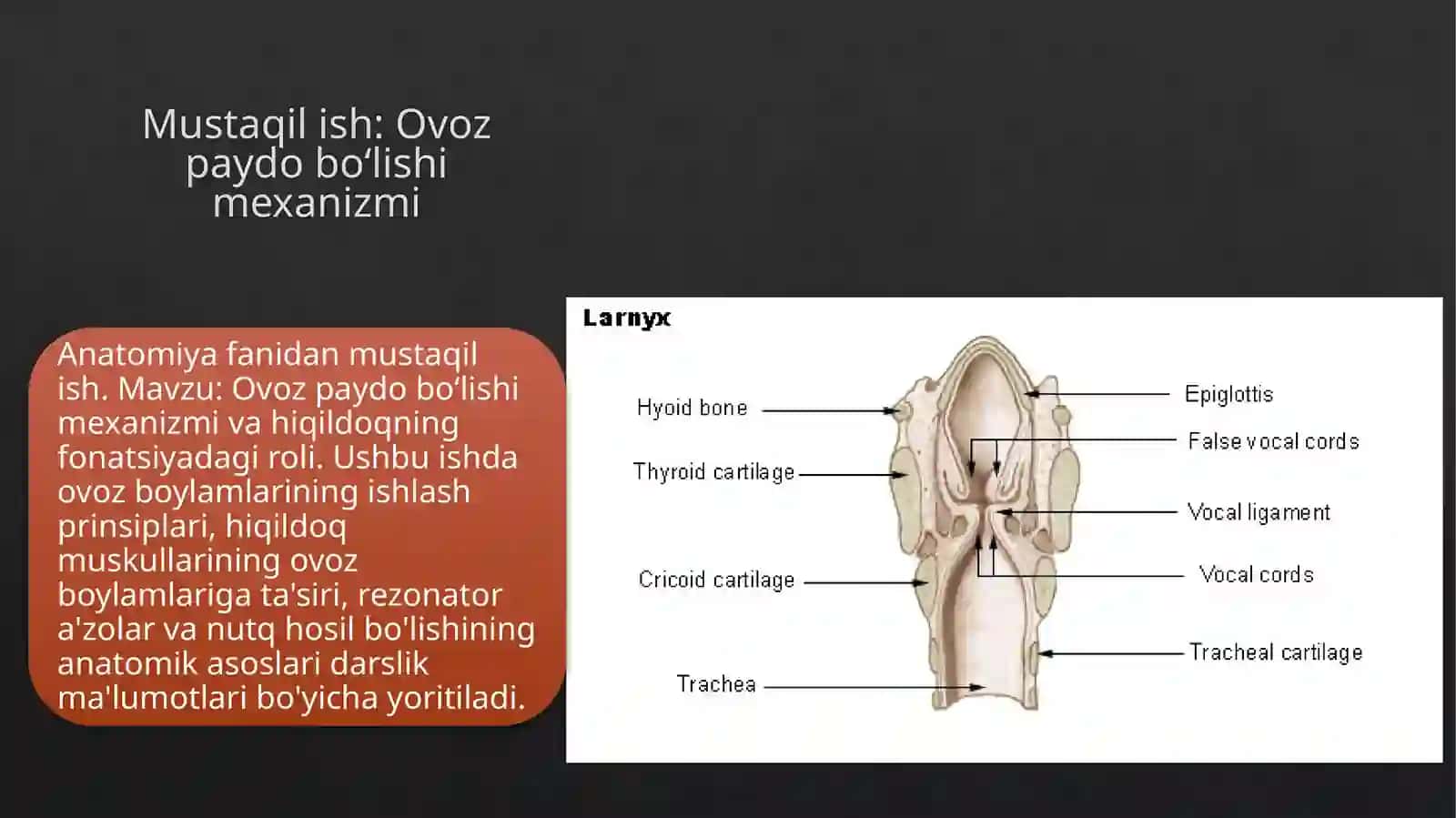 OdamanatomiyasiMustaqilish 2
