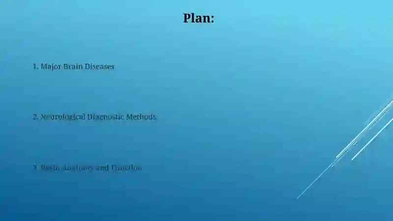 Brain structure and diseases 2