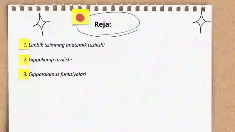 Limbik tizim asosiy anatomik xosilalari 2
