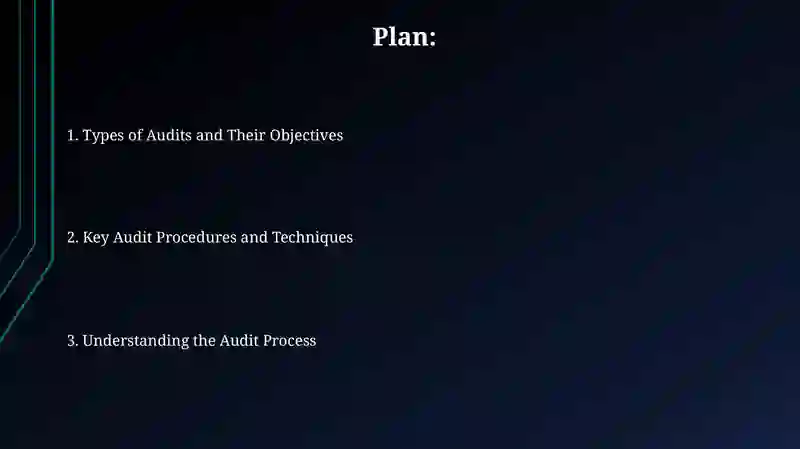 Audit Process and Methodology 2