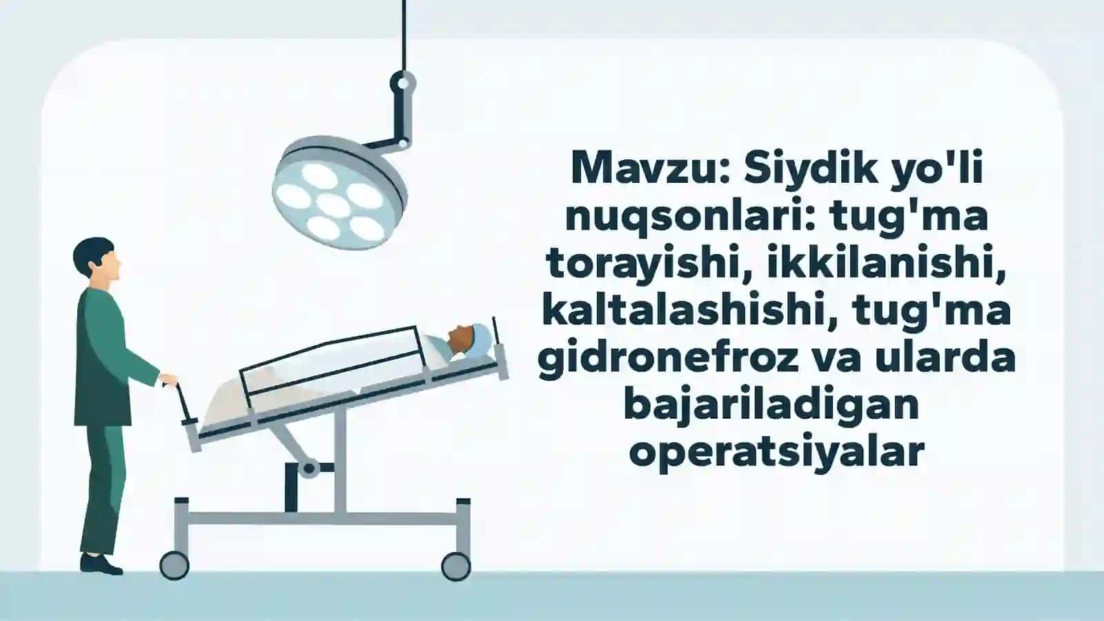 Siydik yo'li nuqsonlari: tug'ma torayishi, ikkilanishi, kaltalashishi, tug'ma gidronefroz va ularda bajariladigan  operatsiyalar 2