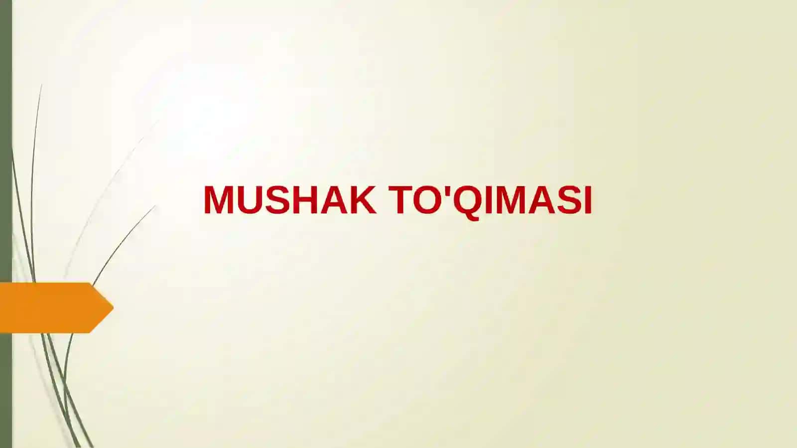 Mushak to'qimasi 2