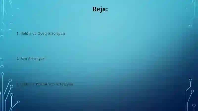 Boldir va Oyoq Arteriyasi, Son Arteriyasi, Umumiy Yon Arteriyasi 2
