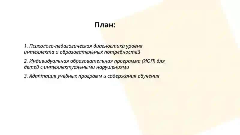 Организация учебно-воспитательного процесса для детей с интеллектуальными нарушениями 2