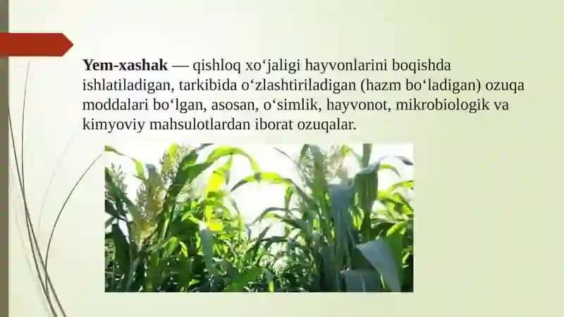 Yem-xashak o’tlarining to’yimliligi marfalogiyasi va biologiyasi 2