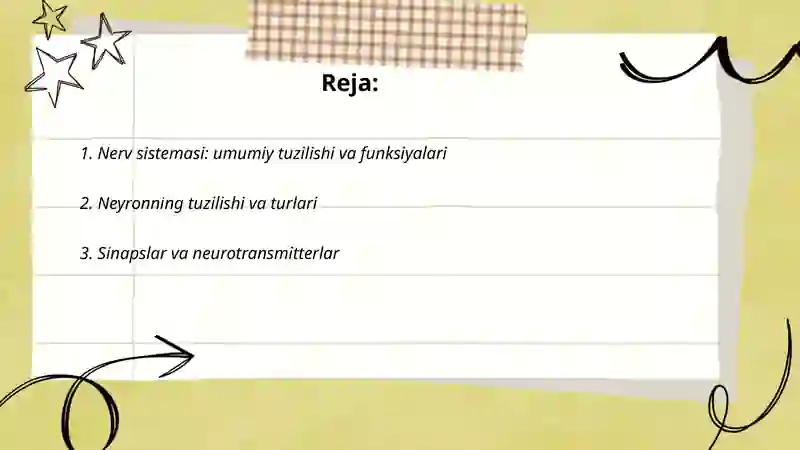 Nerv sistemasi 2