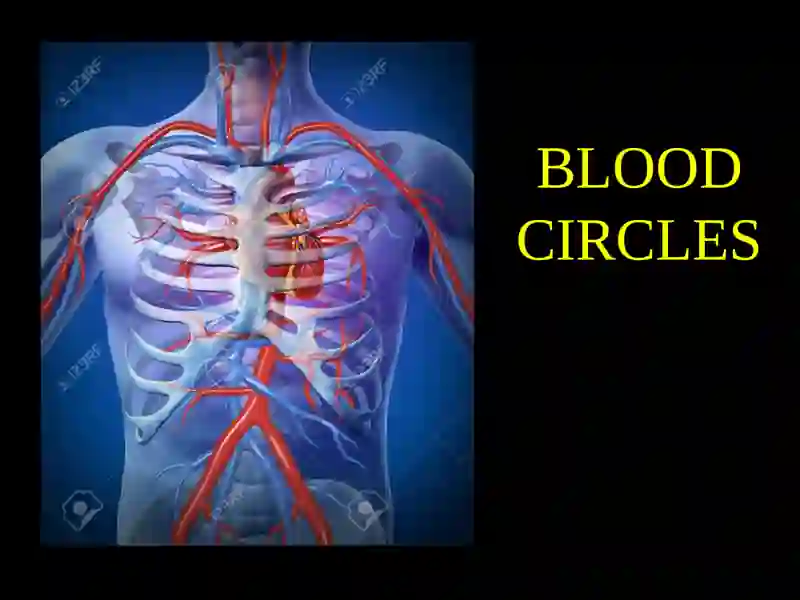 BLOOD CIRCLES 2