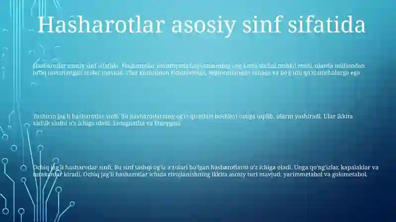 Hasharotlar Katta Sinfi: Vakillarining Tuzilishi Va Ko'Payishi 2