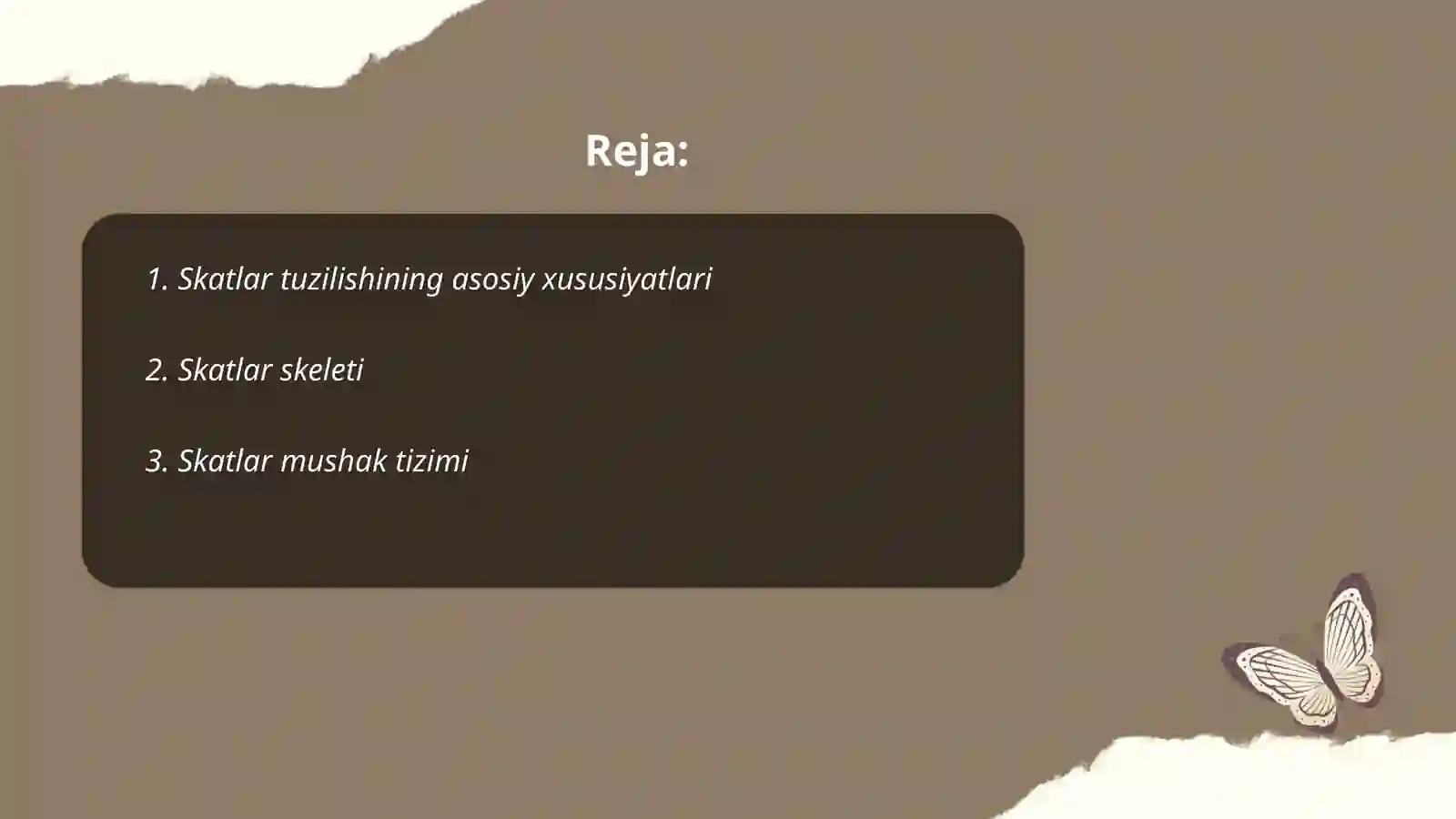 Skatlar tuzilishi, hayot kechirishi va ahamiyati 2