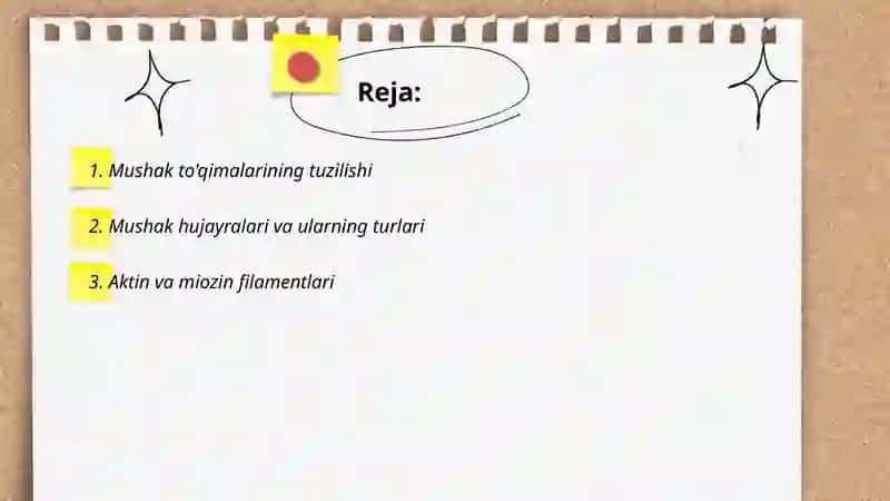 Mushak qisqarish mexanizmining morfologik asoslari 2