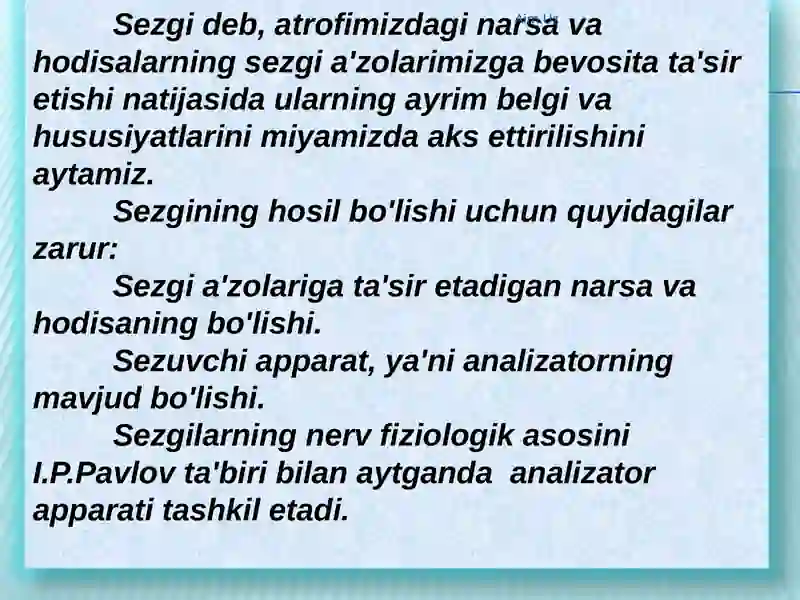 Sezgi 2