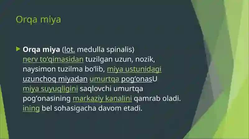 Bolalarda orqamiya anatomafiziologik o'zgarishlar 2