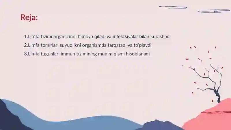 Limfa sistemasi 2