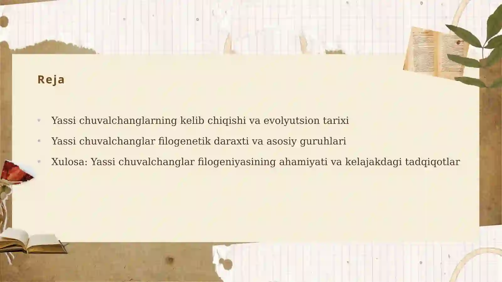 Yassi Chuvalchanglar Filogenezi 2