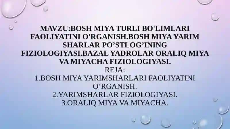 Bosh miya turli bo'limlari faoliyatini o'rganish, bosh miya yarimsharlar po'stlog'i fiziologiyasi 2