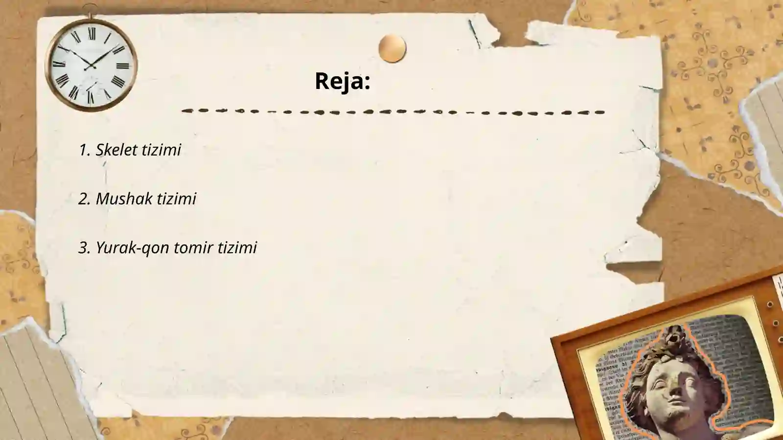 Skelet tizimi 2