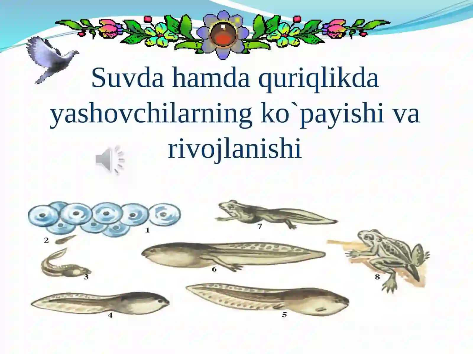 Suvda hamda quruqlikda yashovchilarning quruqlikka chiqishi sabablari va moslanish xususiyatlari 2