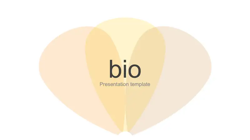 Presentation template 2