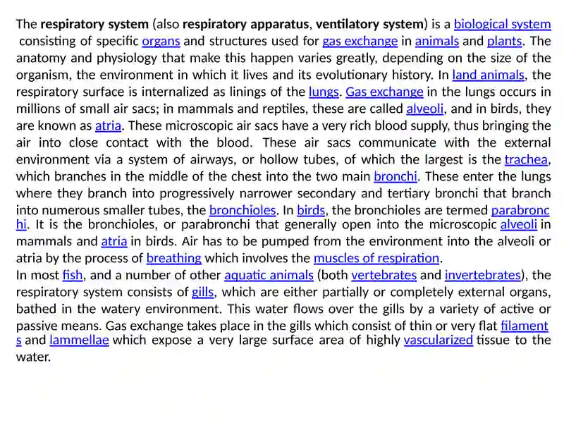 Respiratory system 2