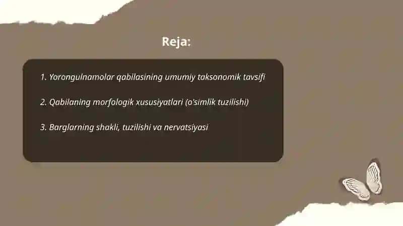 Yorongulnamolar qabilasi umumiy tavsifi 2