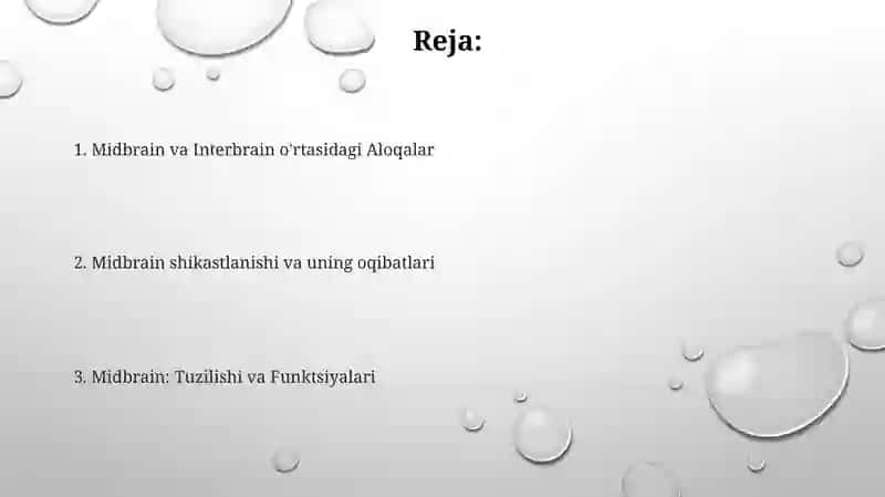 O'rta miya Oraliq miya 2