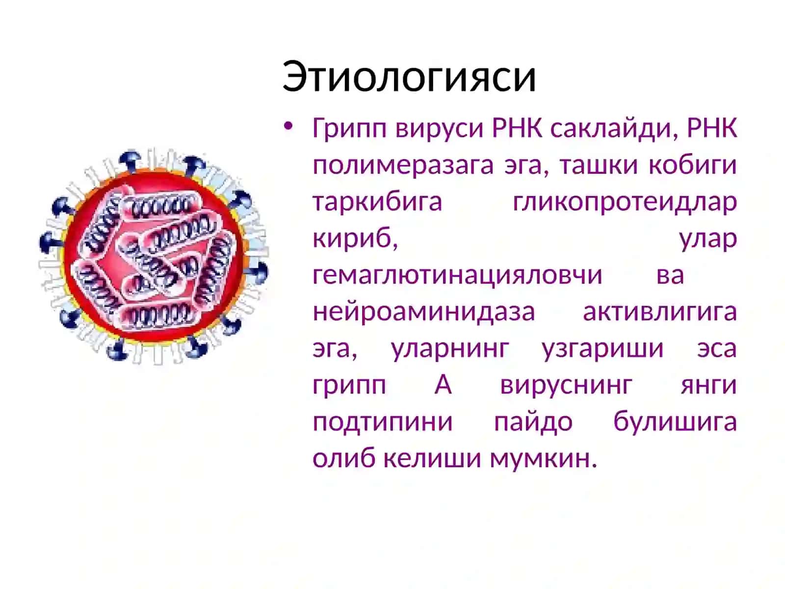 Грипп 2