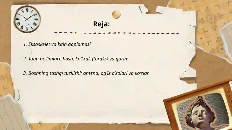 Hasharotlarni tashqi tuzilishi tana boʻlimlari va undagi organlari 2