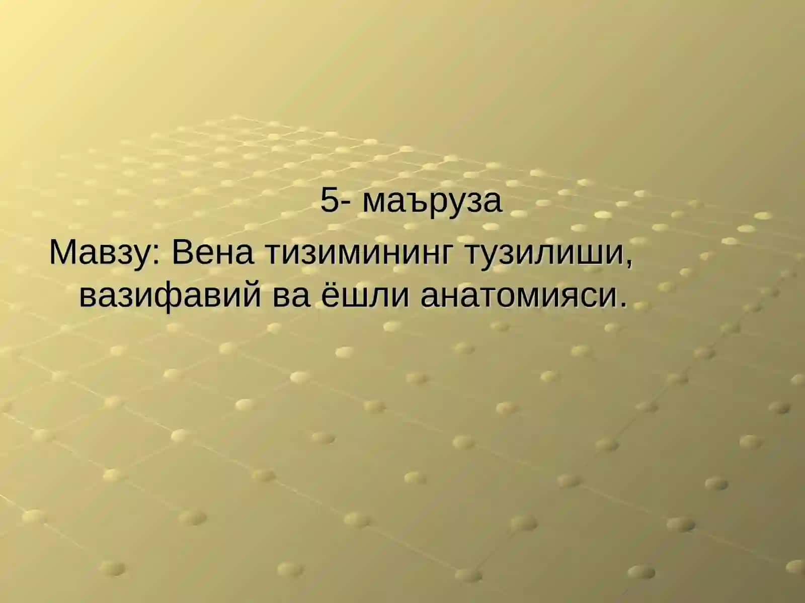 Vena tizimining tuzilishi, vazifaviy va yoshli anatomiyasi 2