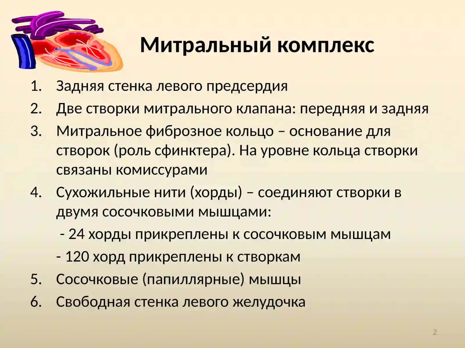 Митральные пороки сердца 2