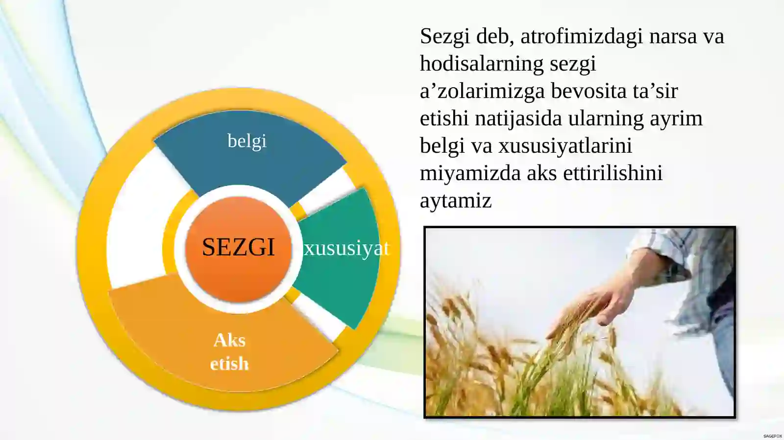 SEZGI 2