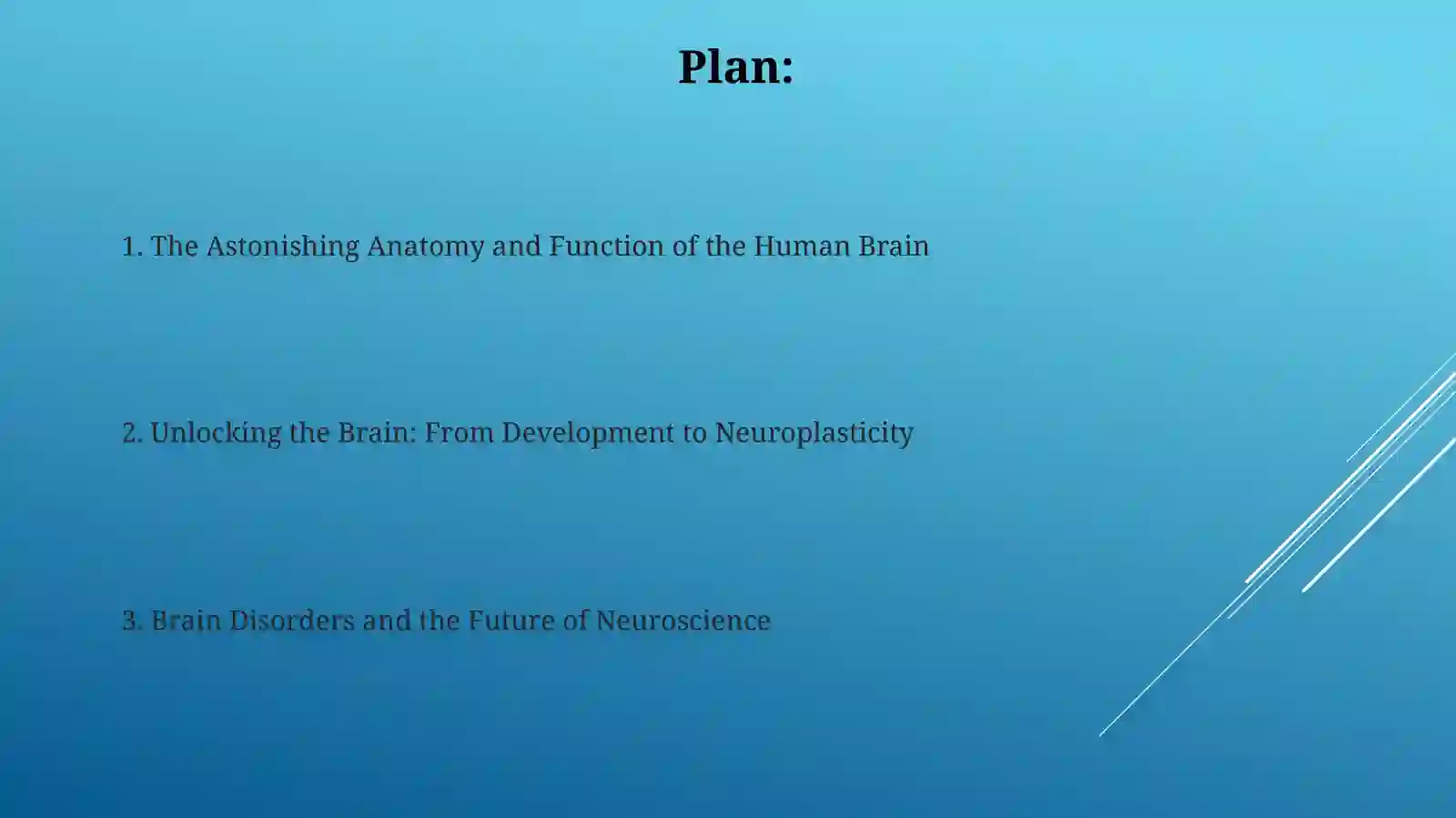 Human brain 2