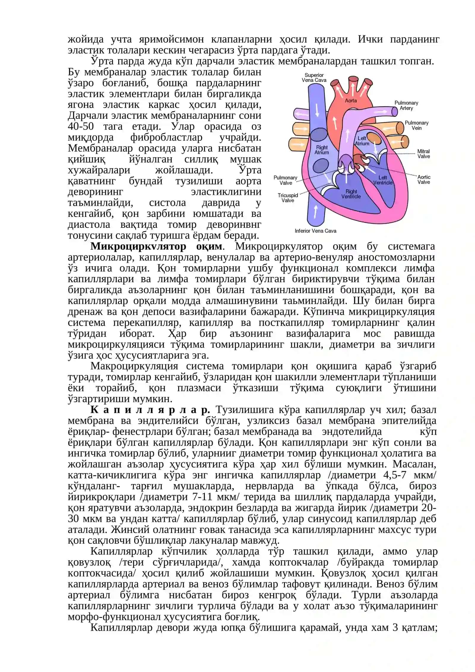 Юрак ва томирлар системаси 2