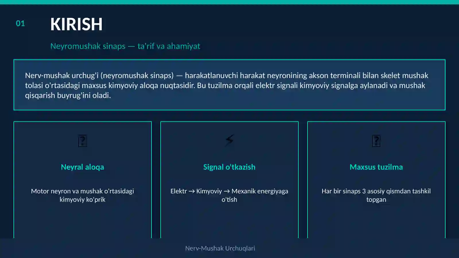 NERV-MUSHAK URCHUQLARI 2