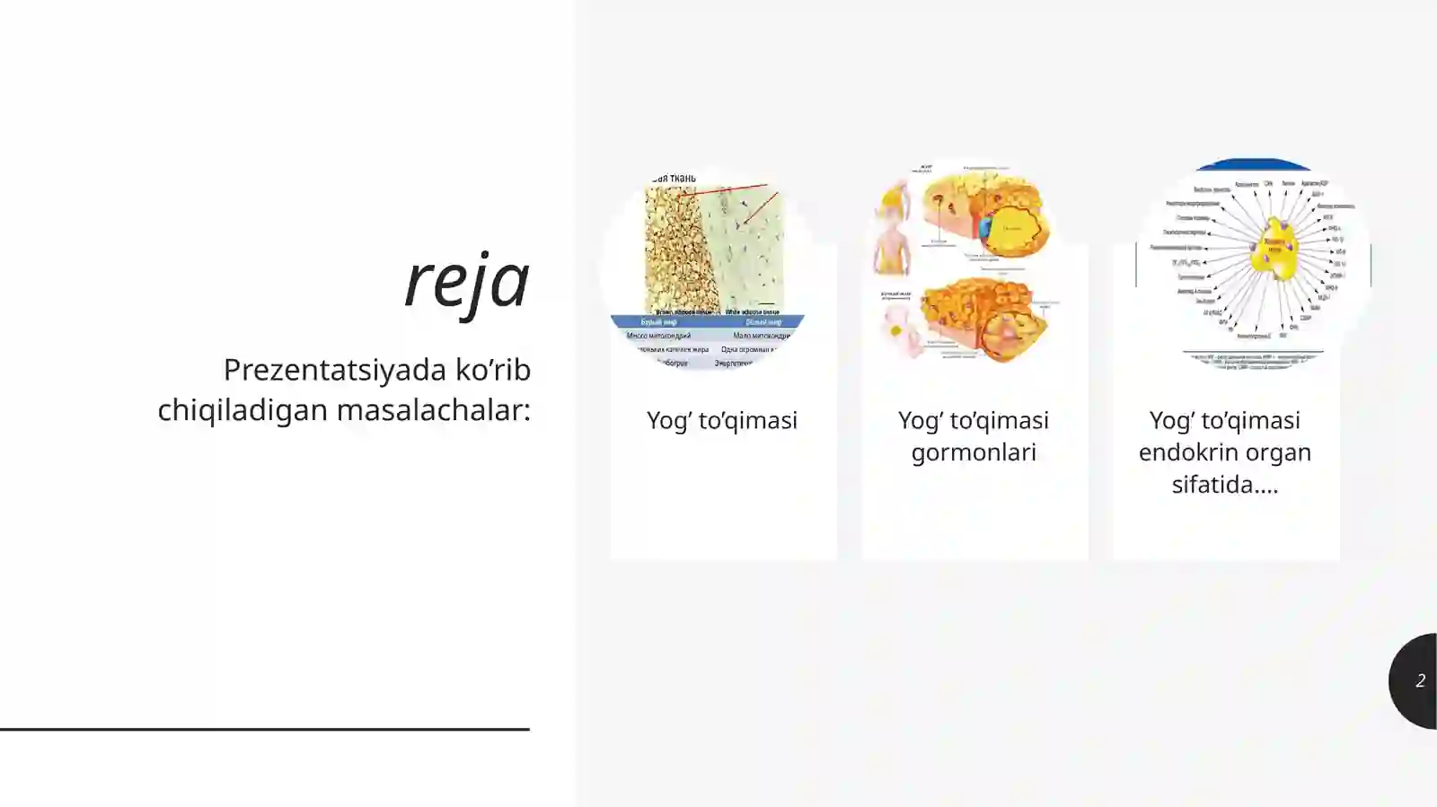Prezentatsiya 2