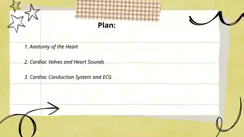 Circulatory system 2