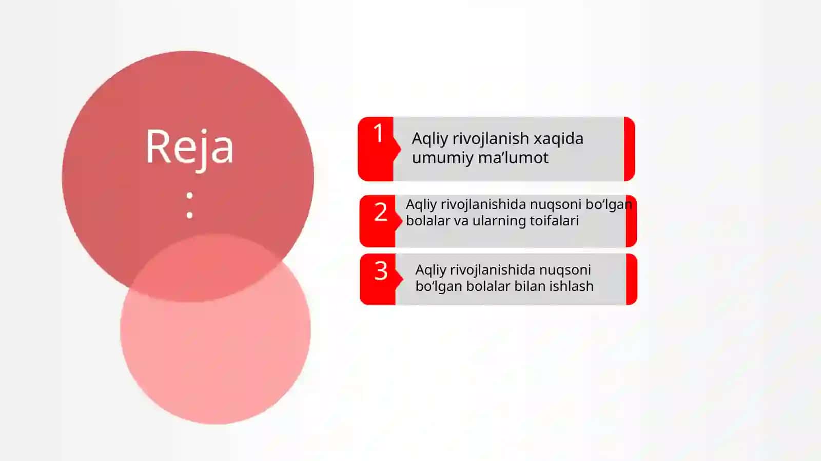 Aqliy rivojlanishida nuqsoni bo‘lgan bolalar 2