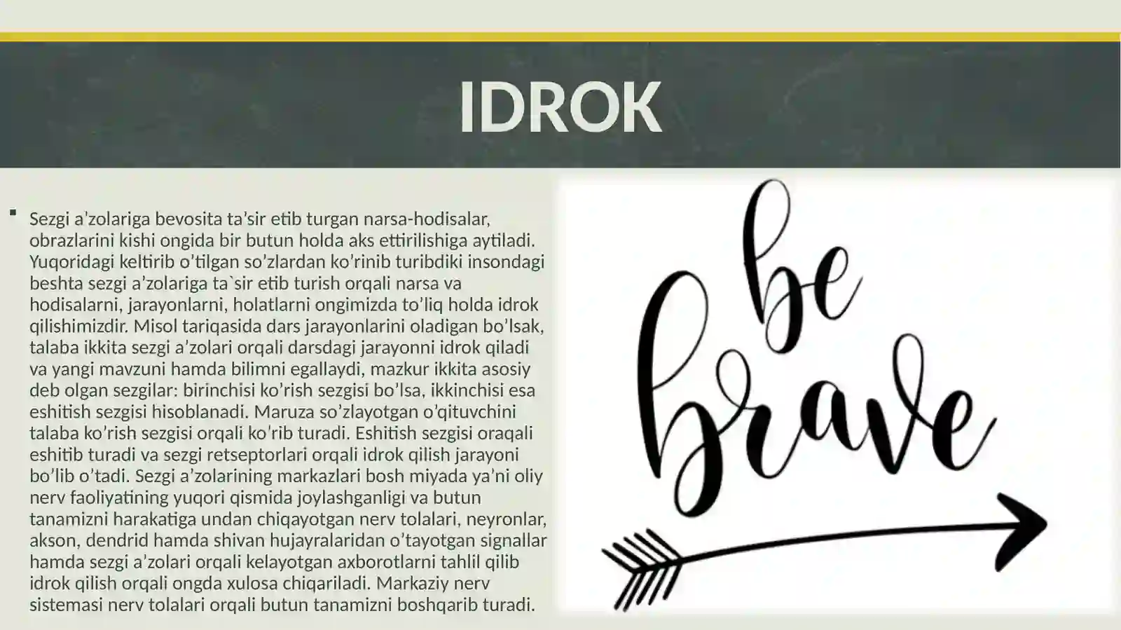 IDROK 2