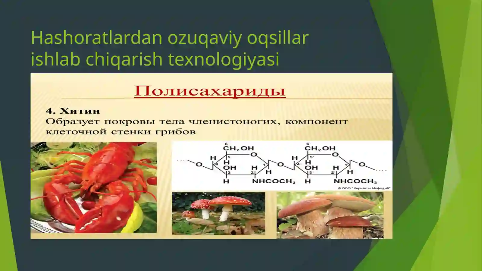 Hashoratlardan ozuqaviy oqsillar ishlab chiqarish texnologiyasi 2